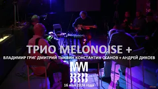 ТРИО MELONOISE + | Константин Оганов/Владимир Григ/Дмитрий Тыквин/Андрей Дикоев | Музей Звука