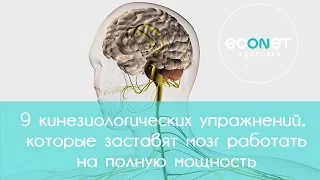 9 кинезиологических упражнений заставят мозг работать на полную мощность | Econet.ru