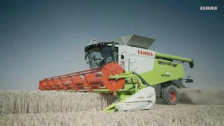 LEXION 600 на уборке пшеницы.