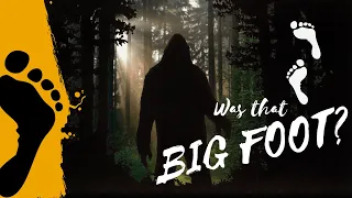 Encountering Bigfoot: Unraveling the Mystery in Ross Lake Province Park