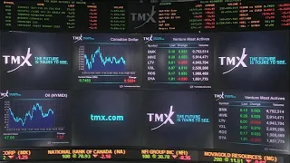 Business Report: Technical glitch shuts down TSX early