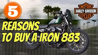 5 Reasons To Buy a Harley Davidson Iron 883