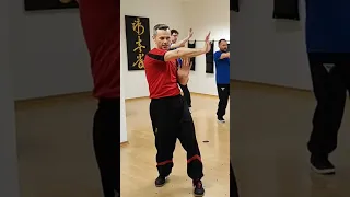 Unterricht der klassischen Wing Tzun Form bei Sifu Sergej