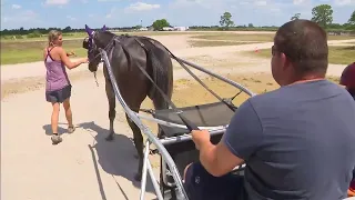 Harness racing at Pompano Beach track could be coming to an end