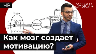 Мозг и мотивация. Акцептор результата действия.