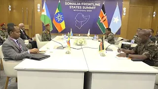 Somalia: regional leaders meet to discuss fight against Al-Shabaab