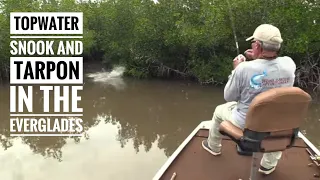 Snook & Tarpon on Topwater in the Everglades