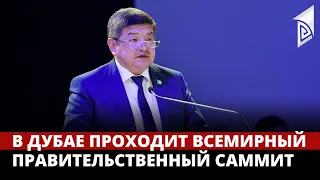 В Дубае проходит Всемирный правительственный саммит