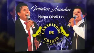 Canarinhos de Cristo - Irmãos Amados / Harpa Cristã nº 175 - Lyric-Vídeo/play back