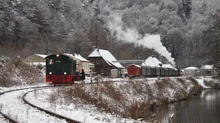 Nikolausfahrten der Dampfbahn Fränkische Schweiz 2023 | BITTE BESCHREIBUNG LESEN!