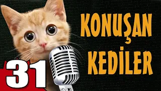 Konuşan Kediler 31 - En Komik Kedi Videoları