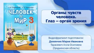 Тема 22. Органы чувств человека. Глаз — орган зрения