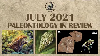 New Fossils and Paleontology- July 2021