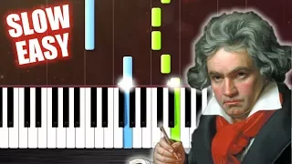 Beethoven - Ode To Joy - SLOW EASY Piano Tutorial by PlutaX