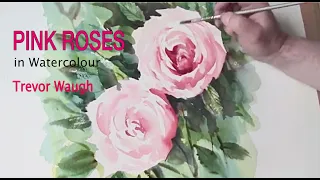Pink Roses in Watercolour by Trevor Waugh