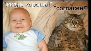 Мой фильм   Кошка беспородная!!!