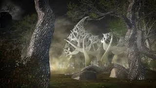 Lichtmond - Magic Forest HD