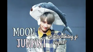 Moon Junhwi sở hữu những gì??