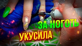 Будни маникюрши Собака укусила за ноготь Маникюрные находки на  Wildberries