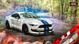 Shelby GT350R Owner Review - The Best Car No One Is Talking About Anymore