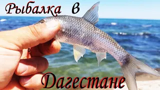 Хорошая Рыбалка На Берегу Каспийского Моря🐟Вобла Избербаш 👍Рыбалка в Дагестане👍