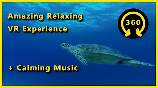 ᴴᴰ Relaxing Meditation Music Video (Drag Screen for 360° View): Immerse Yourself in Beauty! VR Ready