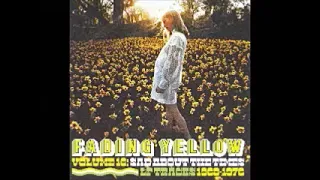 Various – Fading Yellow Vol 16: Sad About The Times: LP Tracks 1968-1976 Psych Pop Rock Music Album