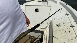 Crabbing