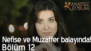 Nefise ve Muzaffer balayında!  - Kanatsız Kuşlar 12. Bölüm