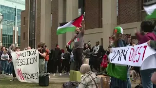 Dozens of pro-Palestinian protesters arrested demanding Texas colleges to divest from Israel