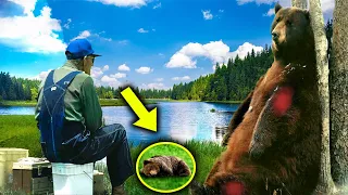 Injured Mama Bear Brought Her Dying Cub To This Man, Then He Did Something Unbelievable!