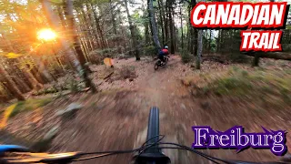 ONE OF THE BEST TRAILS IN FREIBURG! CANADIAN TRAIL | Sunset Ride