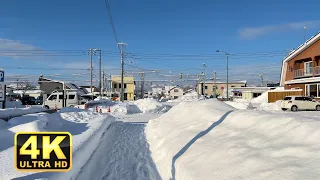 Hokkaido Nayoro（名寄）｜Japan Walking Tour【4K】