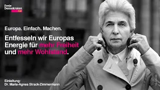 Europa. Einfach. Machen. Entfesseln wir Europas Energie für mehr Freiheit und mehr Wohlstand.