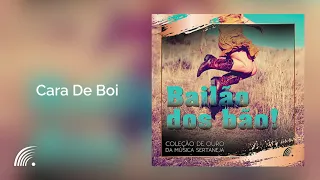 Gino & Geno - Cara De Boi - Bailão dos Bão