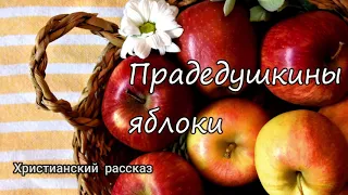 Прадедушкины яблоки. Христианский рассказ. Читает Вальдемар Шанбахер