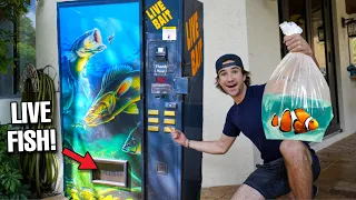 ORDERING LIVE FISH THRU A FISH VENDING MACHINE!! *Mystery Fish*