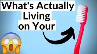 The Truth About What's Living On Your Toothbrush? | SHOCKING