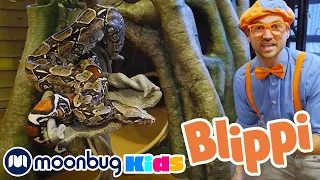 Playing At The Zoo - Blippi Feeds and Plays With the Animals | Kids Learn! | Sing Along