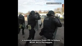 Гибель осужденного из Чечни после штурма спецназа #shorts