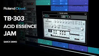 Jam out with TB-303 Acid Essence!