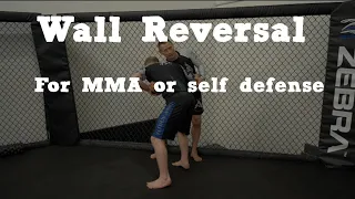 MMA Clinch Wall Reversal  - One Mintute Tip 14