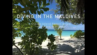 Maldives Scuba Diving - Angaga Island Resort & Spa #maldives #kygo #holiday #travel #vacation