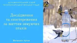 Дослідження та спостереження за життям зимуючих птахів