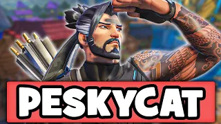 The Legend Of Peskycat The Flanking Hanzo In Overwatch 2