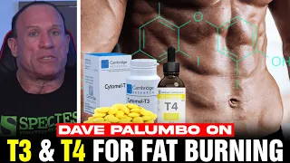 T3 & T4: How To FORCE Fat Burning!