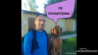 Вы можете задать свой вопрос Нацкомфинуслуг напрямую!