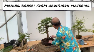 Making Bonsai from Hawthorn Material