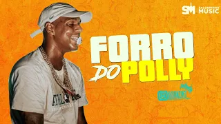 OH POLÊMICO REPERTÓRIO NOVO ( FORRO DO POLLY) PRA PAREDÃO JUNHO 2024