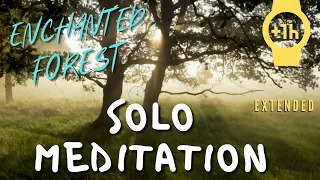 Enchanted Forest SOLO Meditation : Extended 1 Hour Version  (Music & Visual Only)